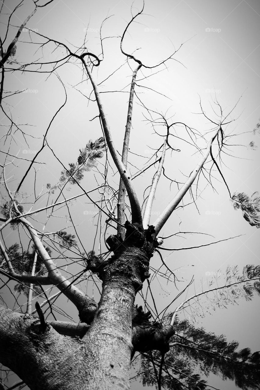 the leaves are starting to fall