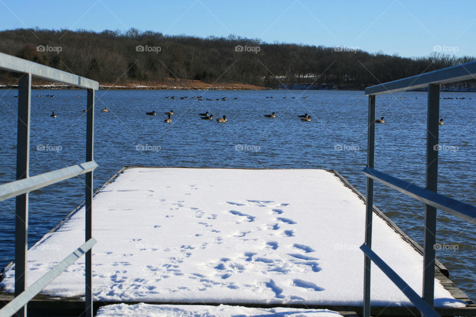 Lake in winter 