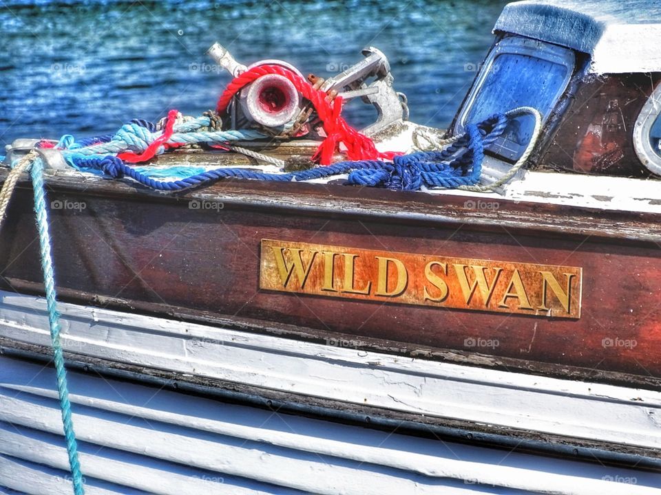 Wild Swan boat