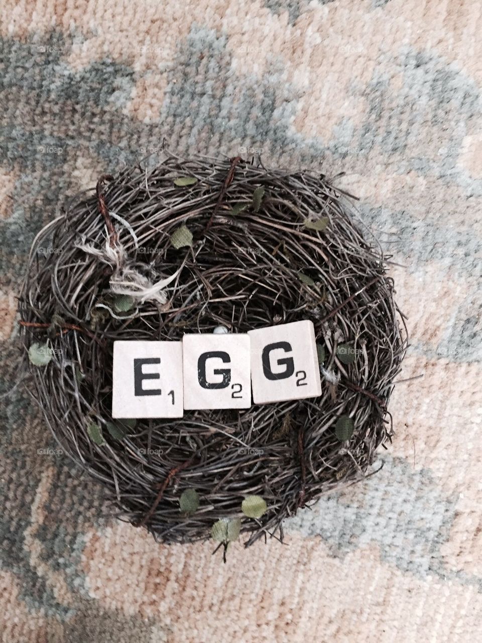Nest egg