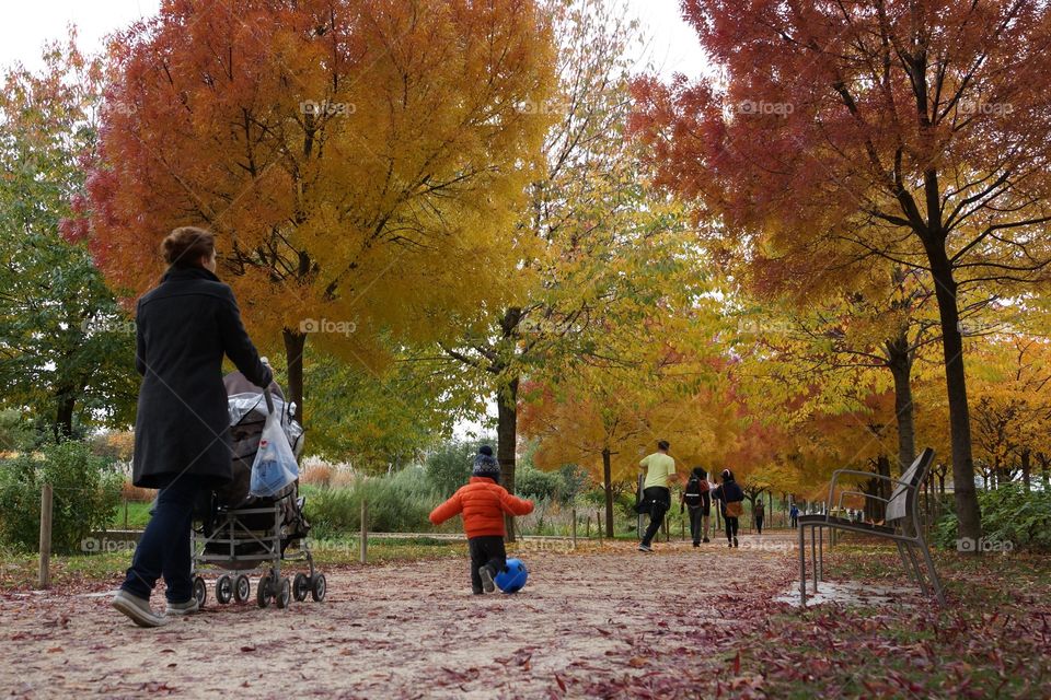 Balade automnale au parc 