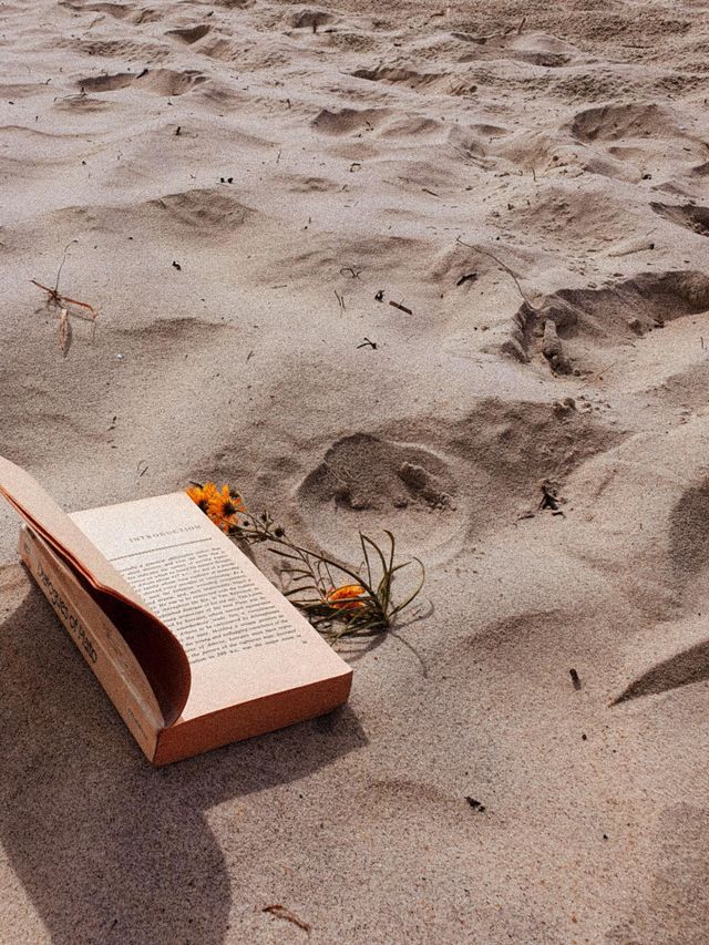 чтение книги на пляже