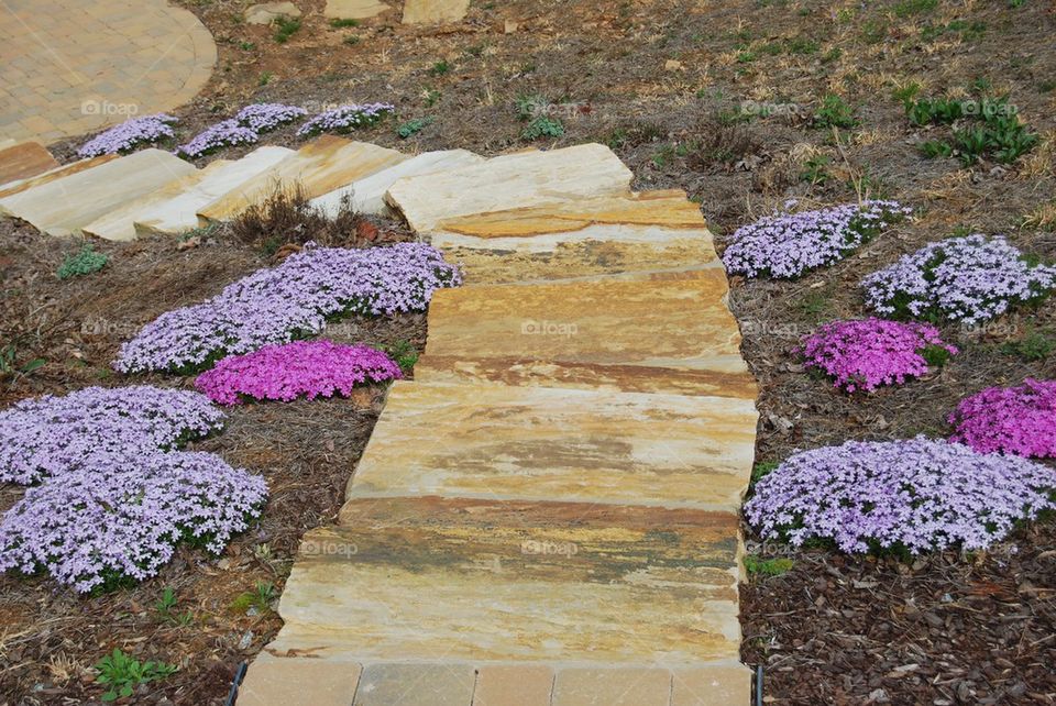 Garden stone steps and flowers