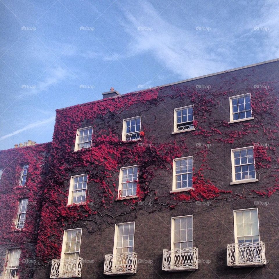 Autumn in Dublin