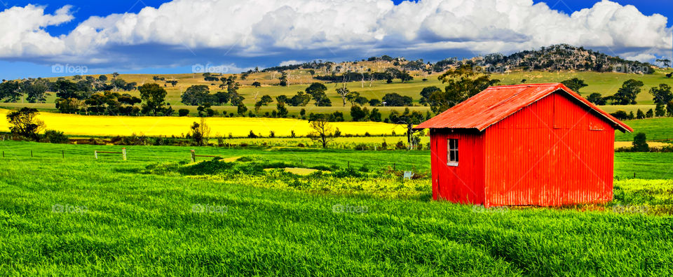 The Red Shed