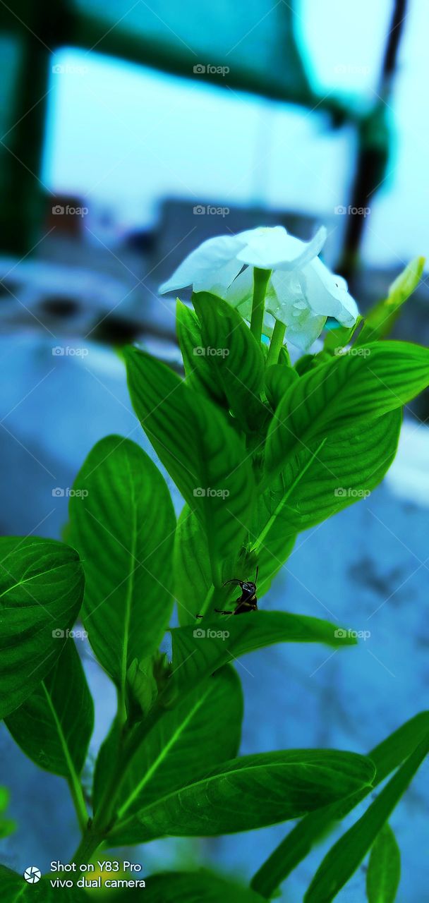 #foap #infoapartemen #foapjuly18 #foapaug18 #foapfeb18 #foapapril17 #foapers #foapjune18 #fotografoaprendiz #sfoapprentices #foaper #infoapartment #foapmission #foapmay18 #foapapr18 #foapit #infoaplikasipaytren #infoapple #foapom #foapjan19 #infoapp 