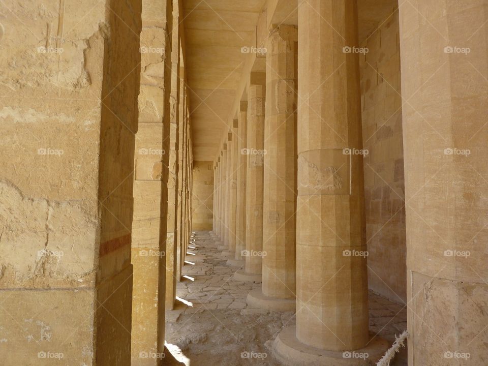 Egypt columns 