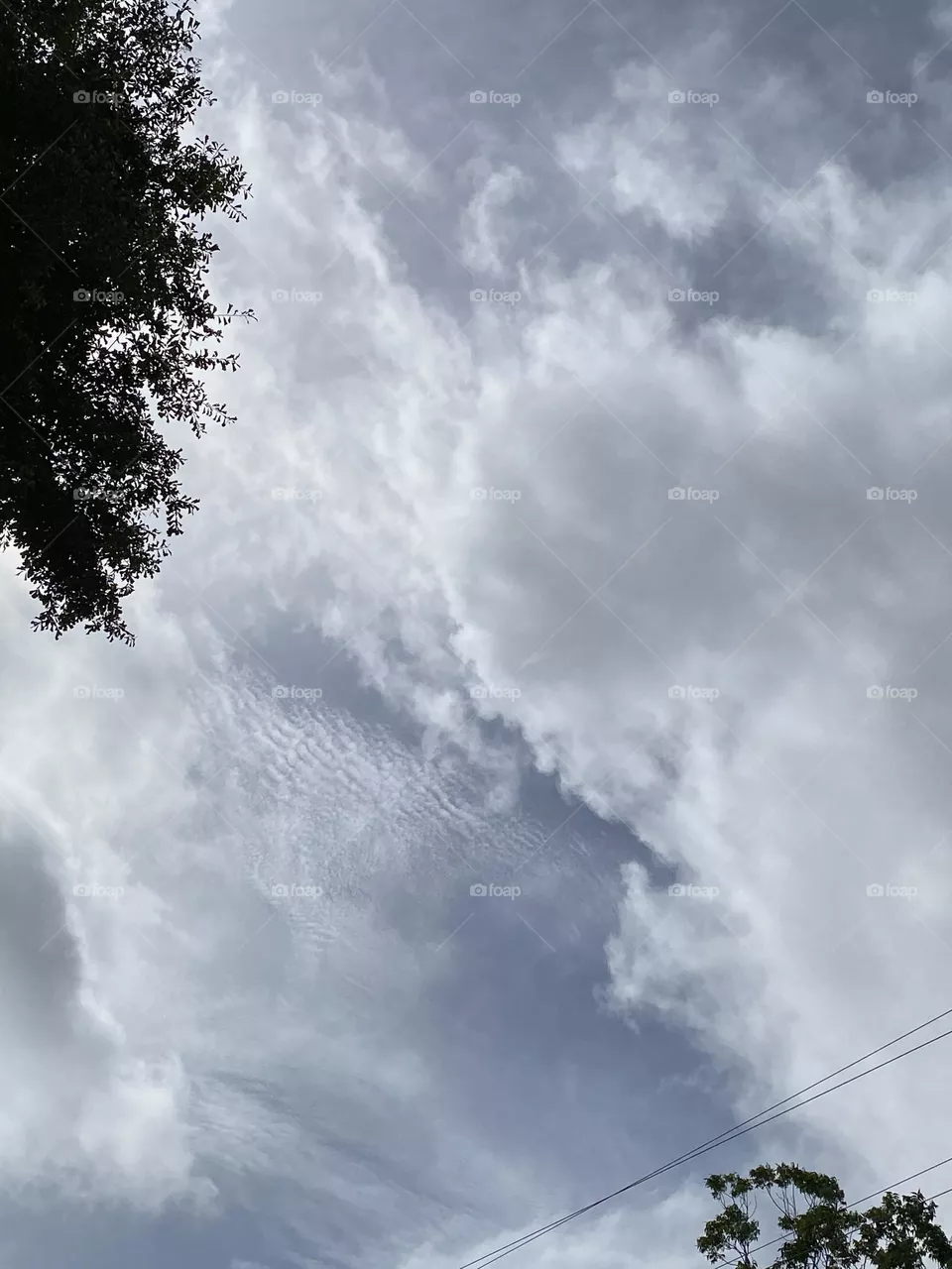 Beauty in the sky 