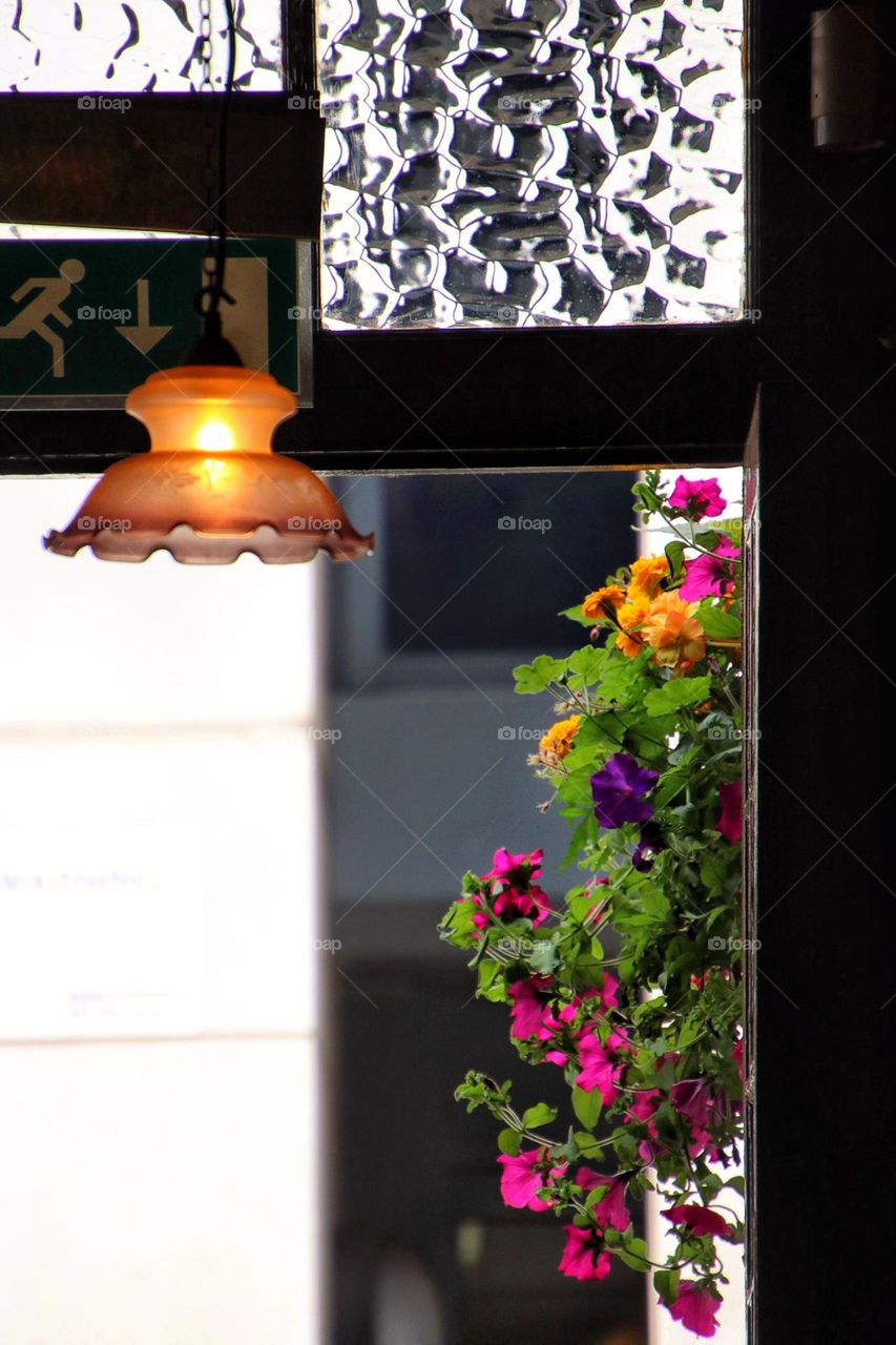 A window box with colorful blooming flowers between the passage of a house