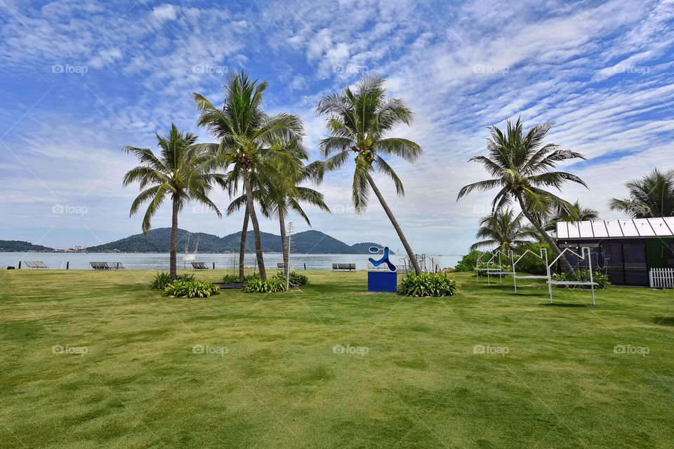 Beautiful green scenery with blue sky and coconut trees at Marina Island, Perak