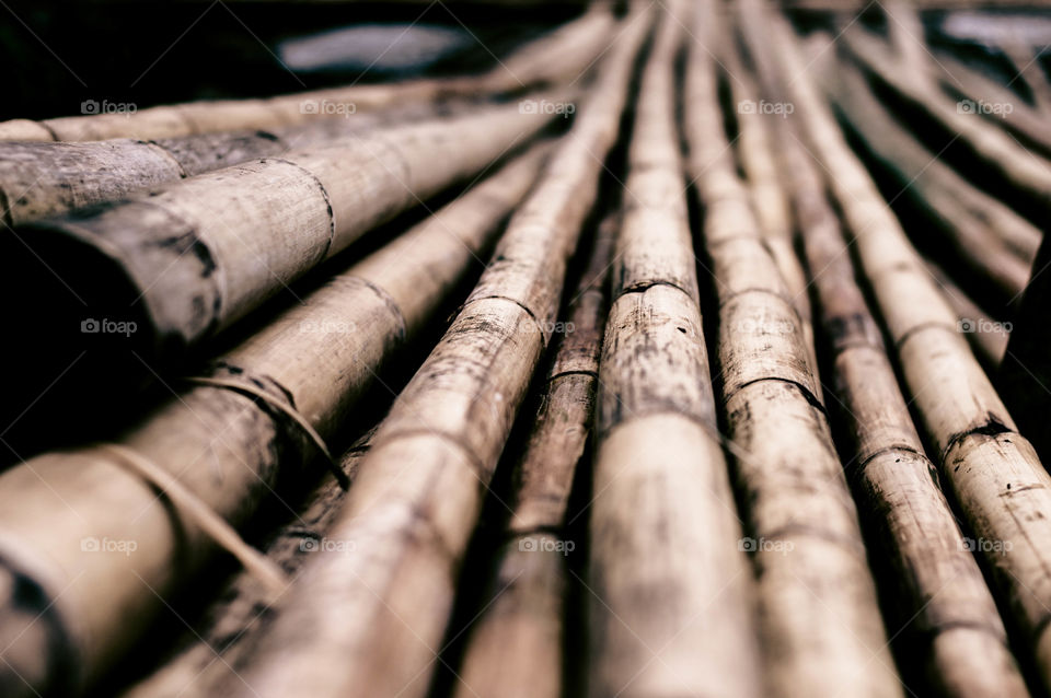 pile of bamboo