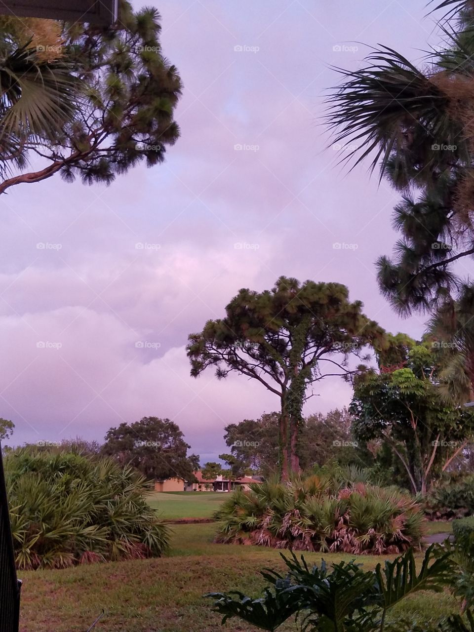 Purple Sunset Over Florida