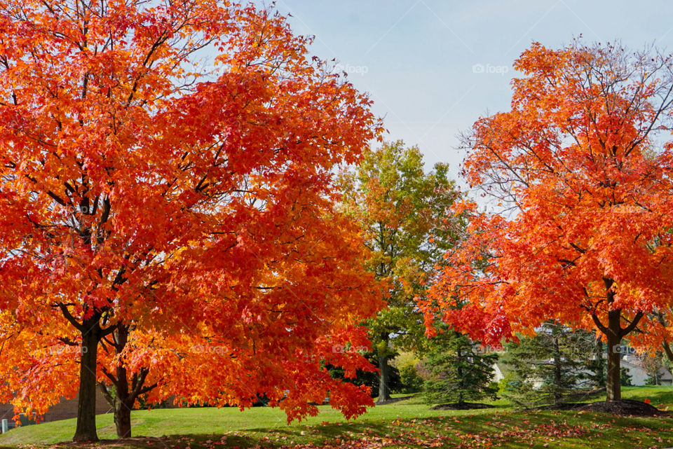 October orange