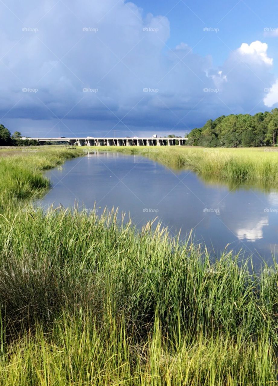 This Narrow Steam will lead you to a secret Small  Area where there is a variety of Fish to catch 