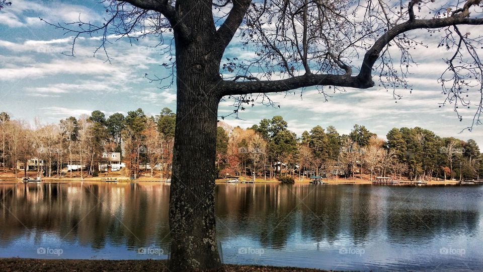 Reflection of trees & homes on an Urban Lake