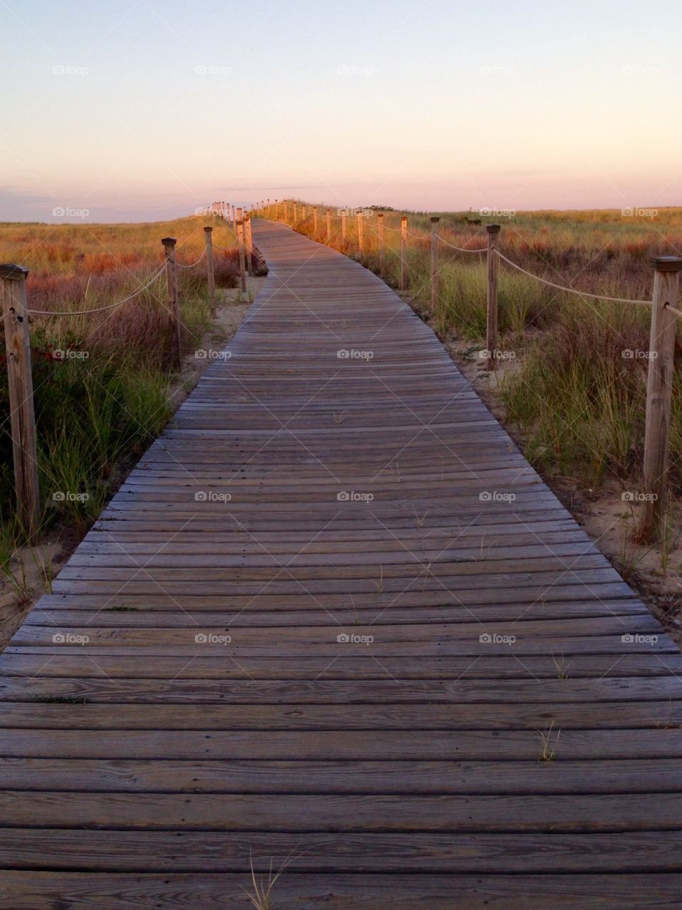 Cape Cod / Scusset Beach State Park