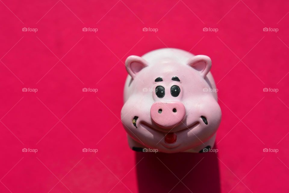 magenta colour piggy beautiful background