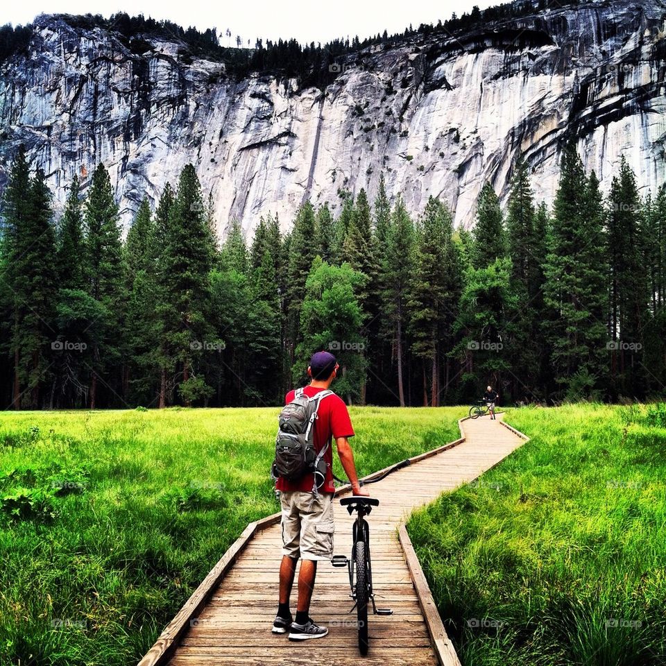 Yosemite meadows 