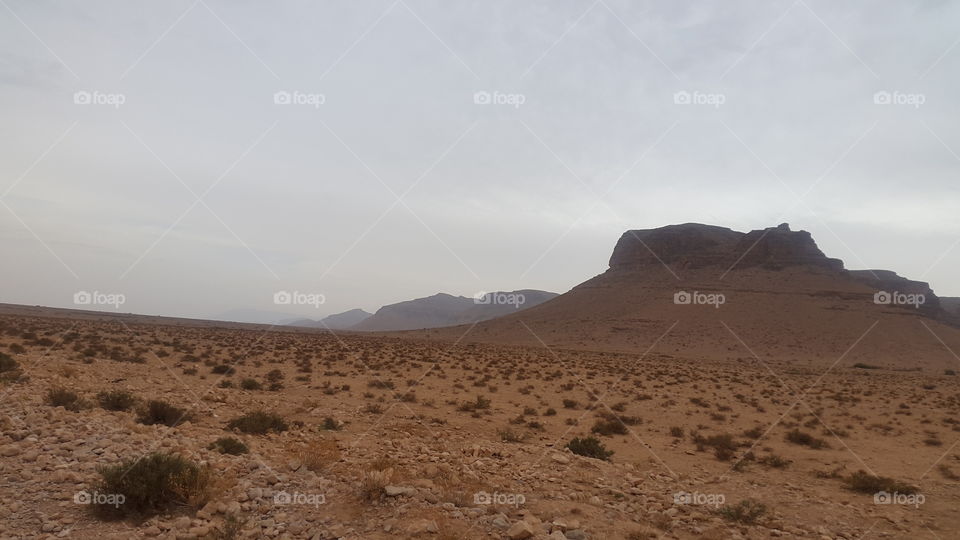desert arid