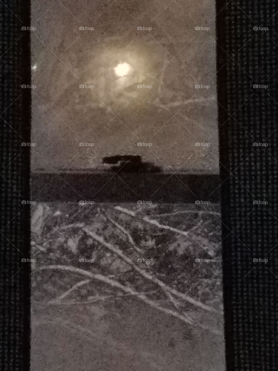 through the frosted window