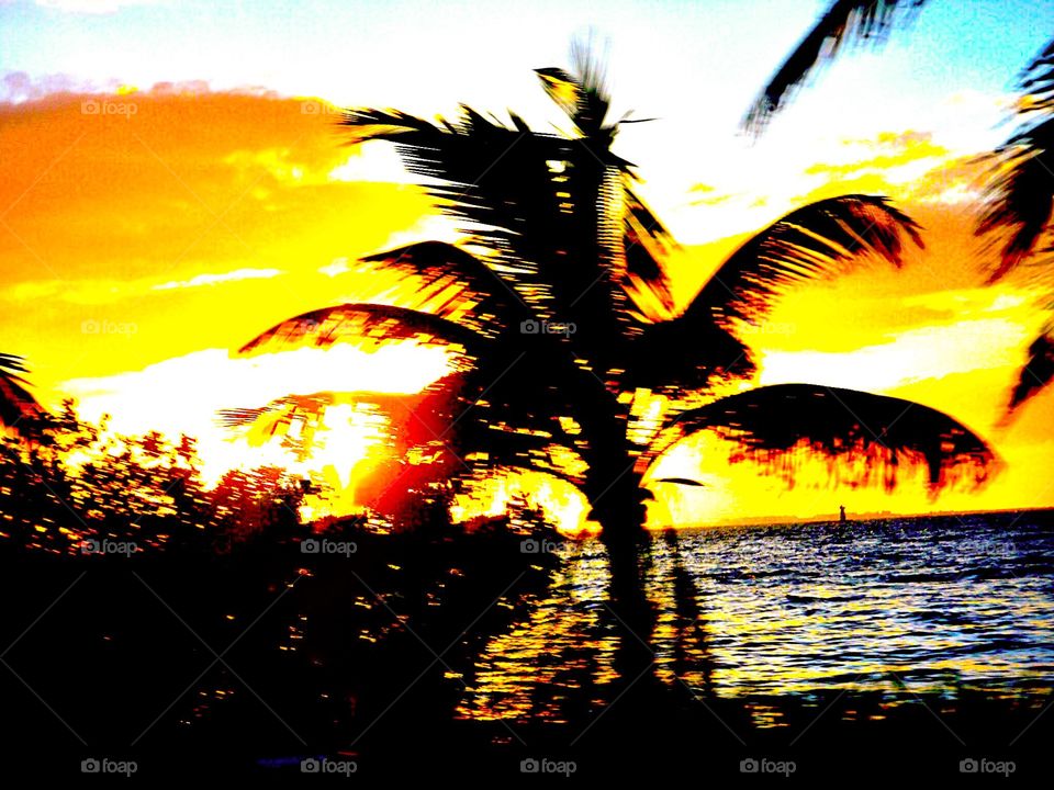 Paradise at Sunset. Isla Mujeres