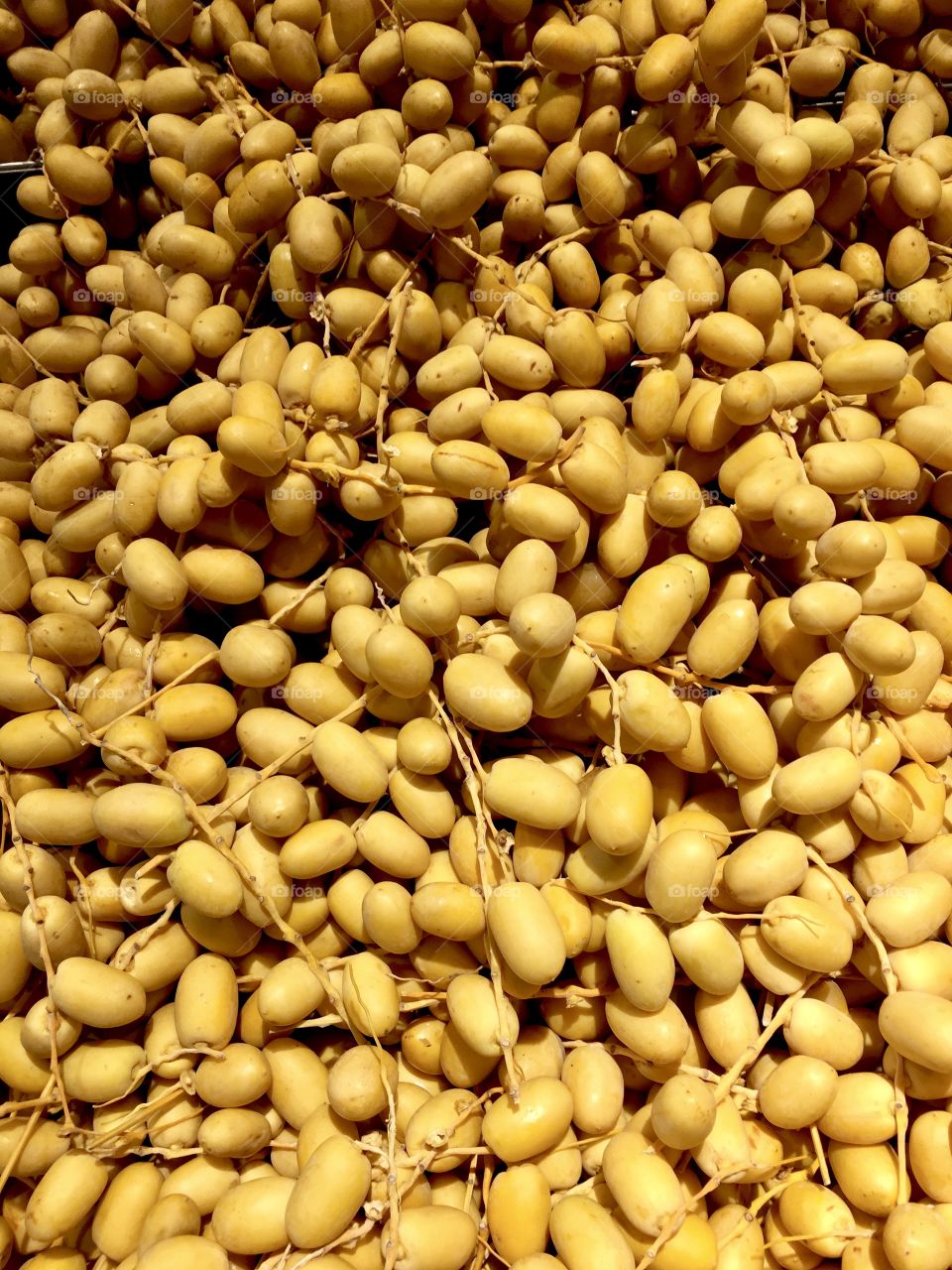 Fresh yellow dates from United Arab Emirates deserts, perfect photo for bunch of dates