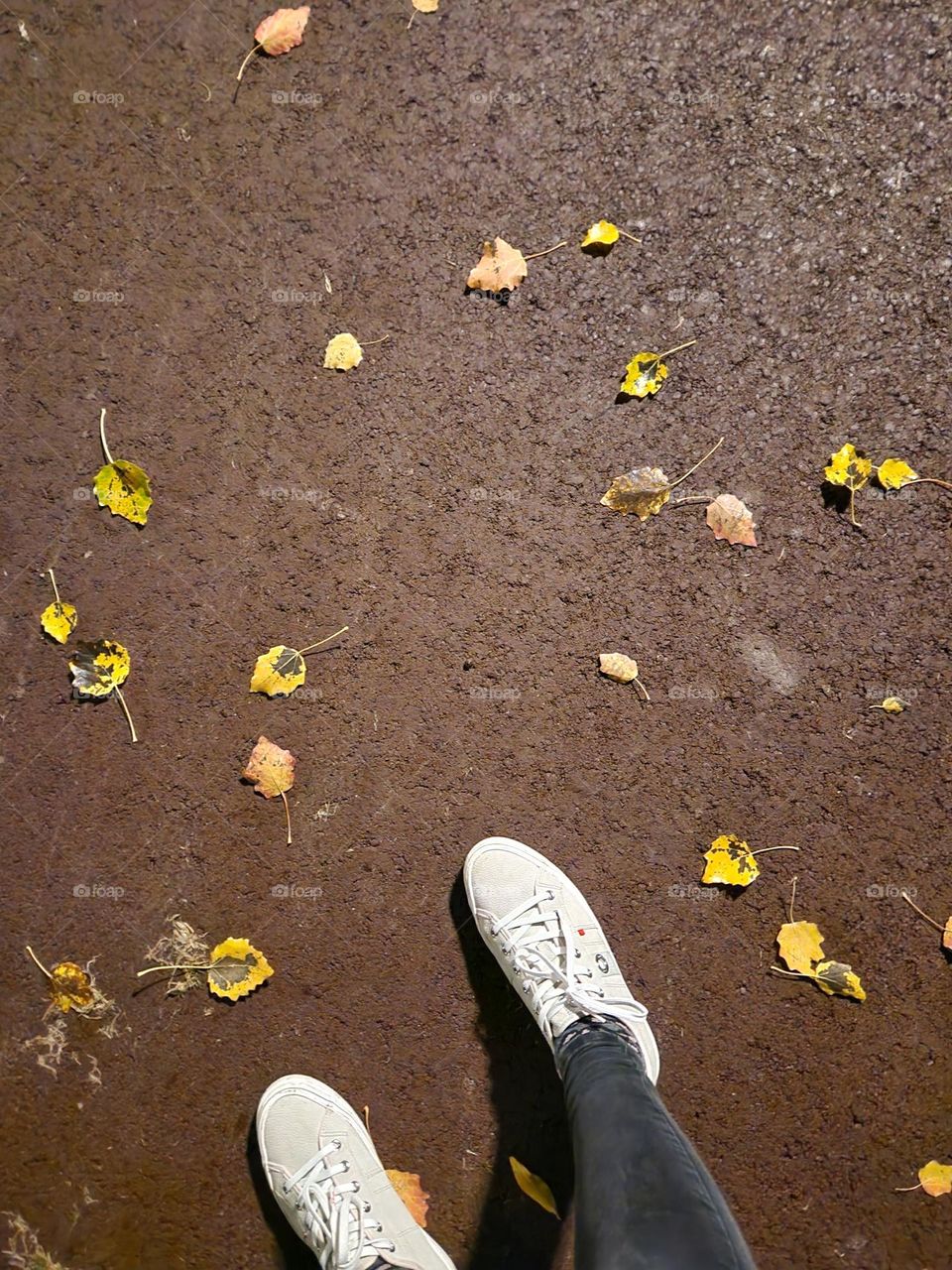 Step into the early morning. Street view