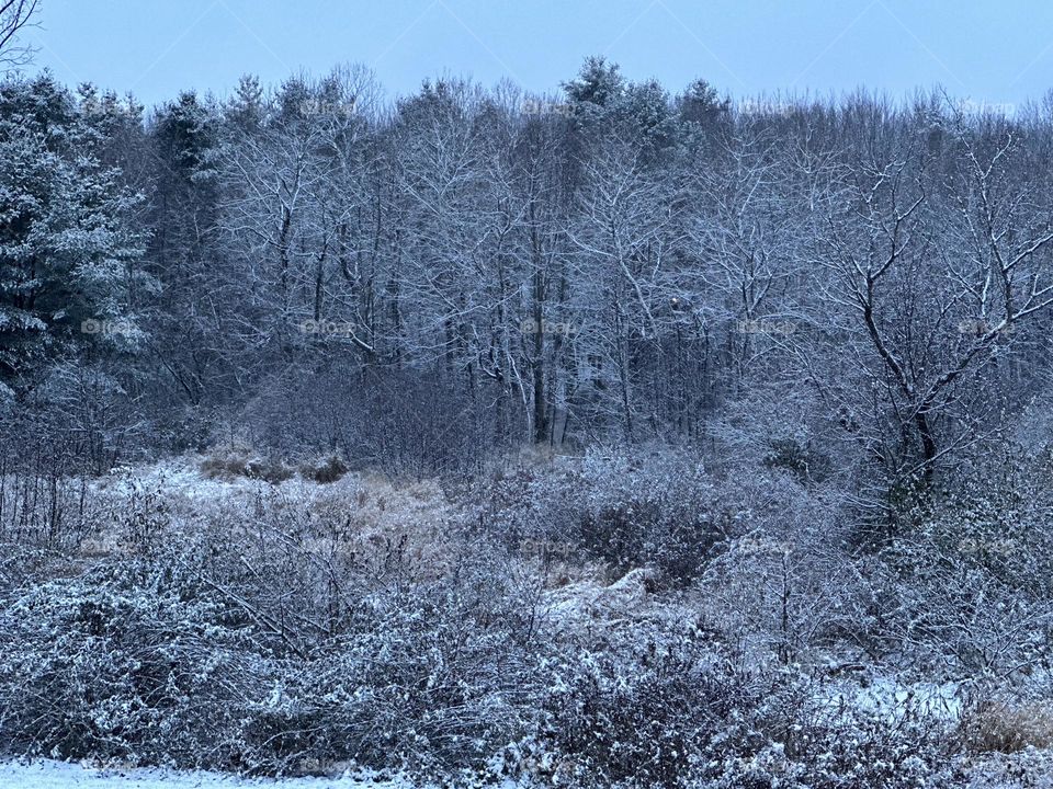 First snow