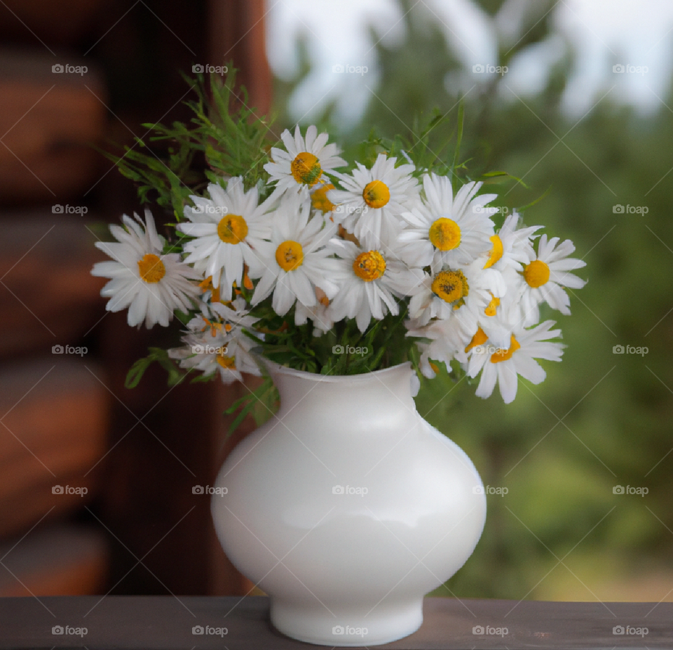 Daisies in a vase🌼🌼 Summer time 🌼🌼