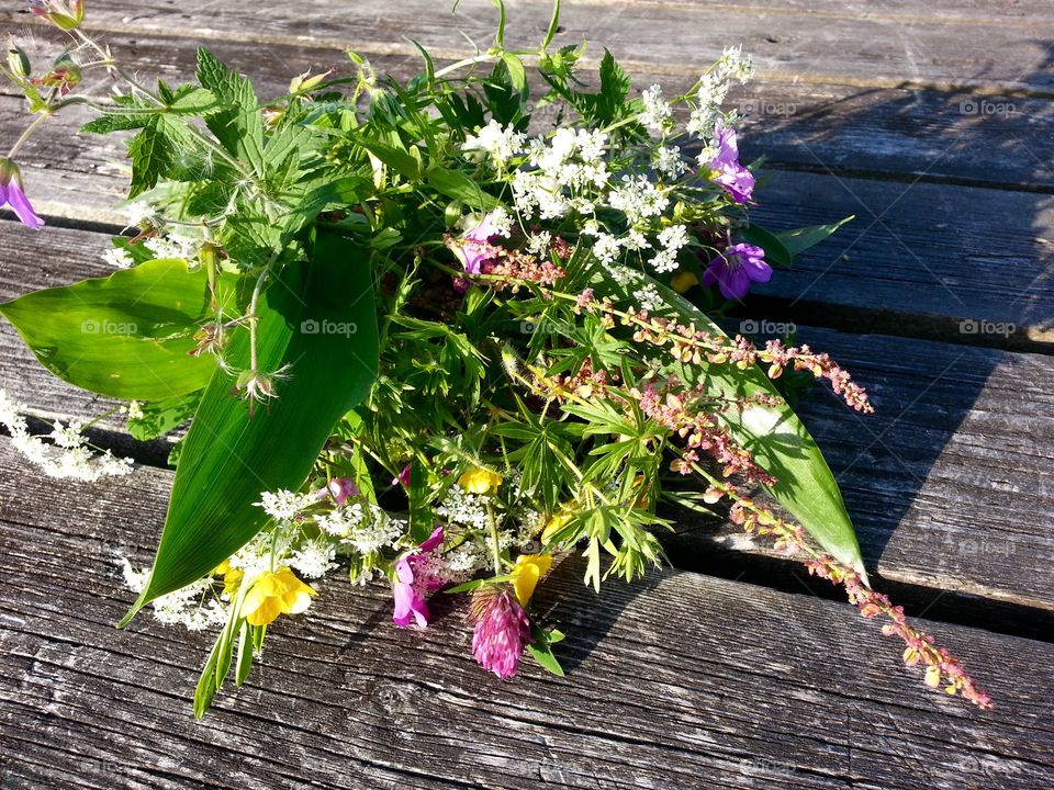 Bouquet of windflowers