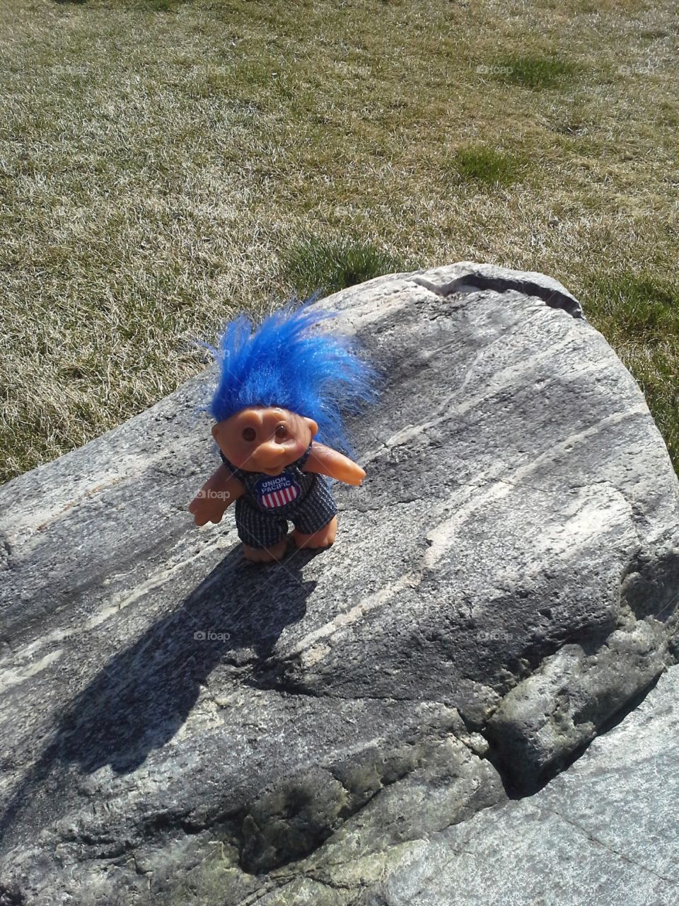 troll on a rock