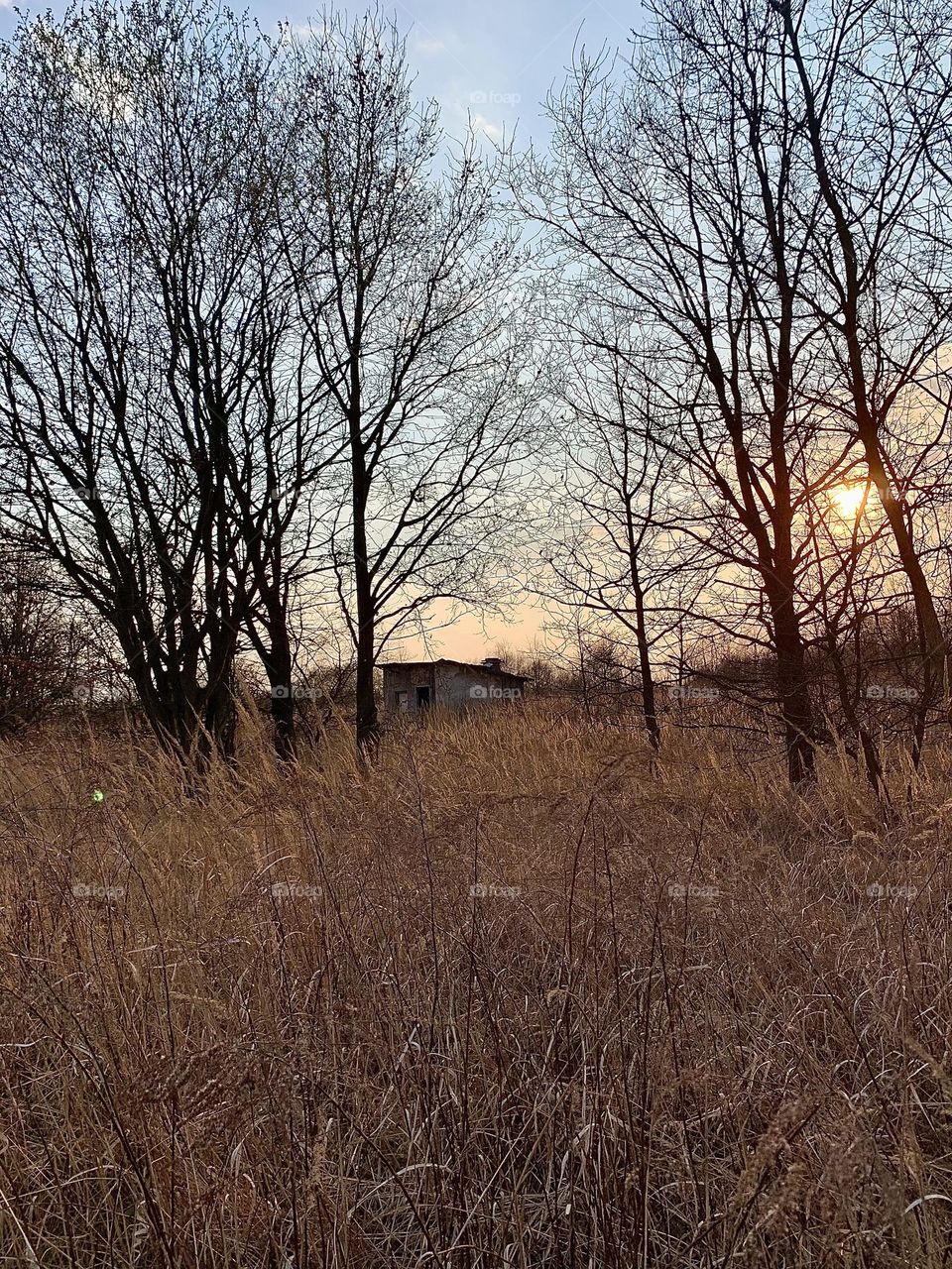 Where nature meets industry no. 2