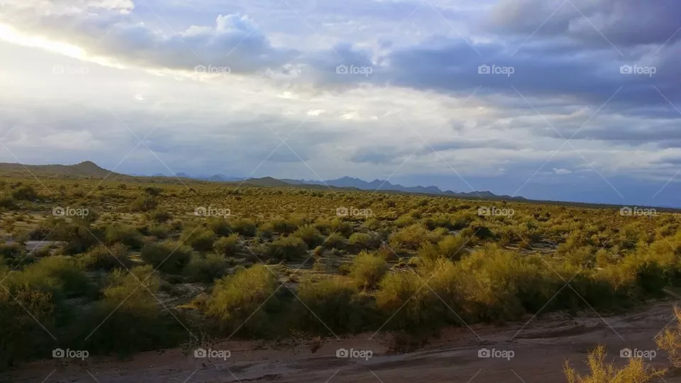 Open Desert