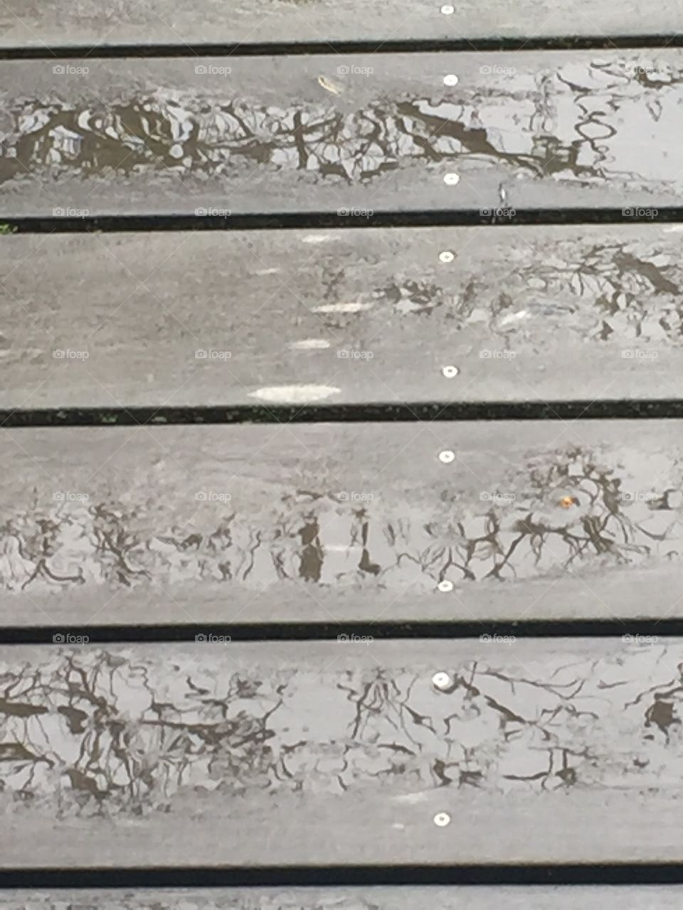 Wet wood plank texture in horizontal layout 