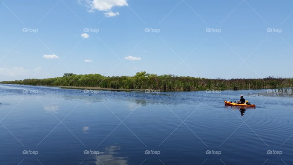 Yellow on the Everglades