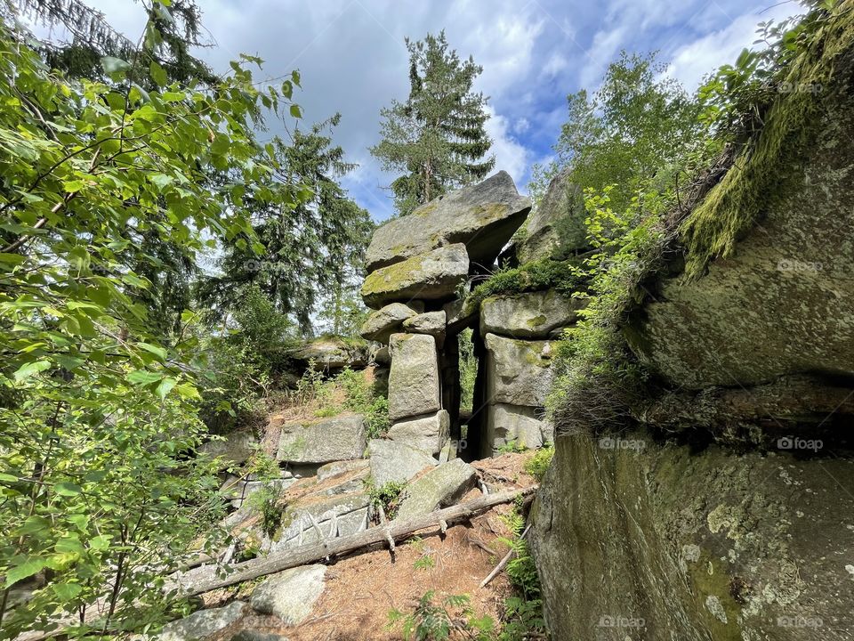 Rock formations in the forest.