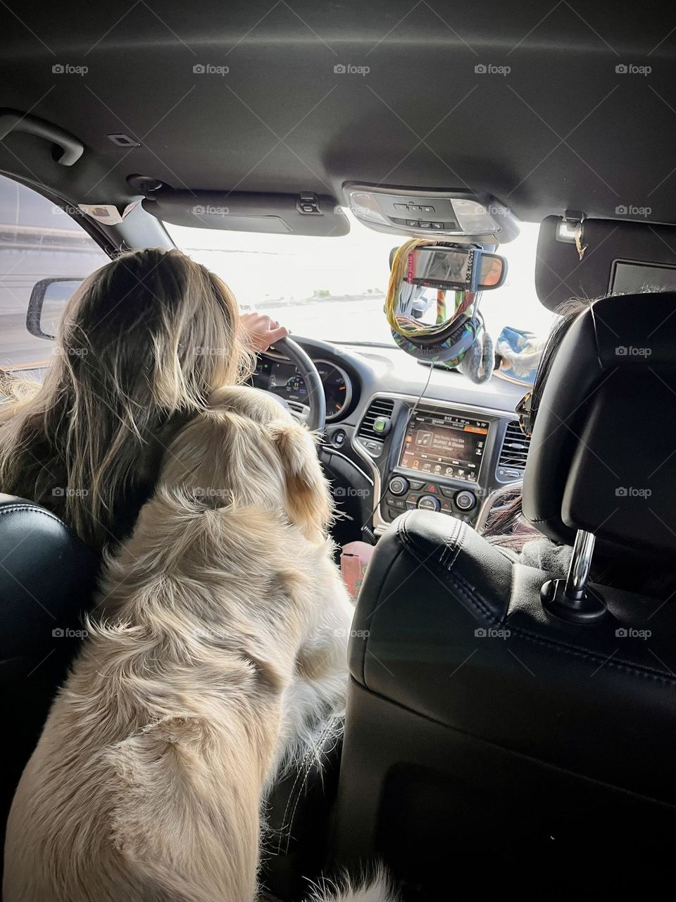 An empathetic emotional support dog offers comfort on a long drive 