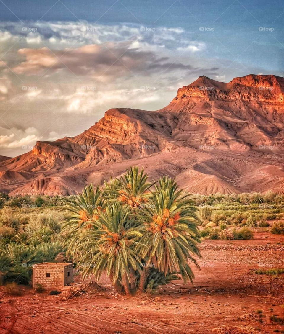 A remote village with palm trees and beautiful barren mountains