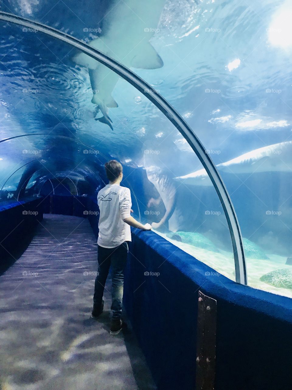 Teen at the Aquarium 