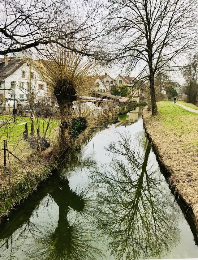 River shadow nature