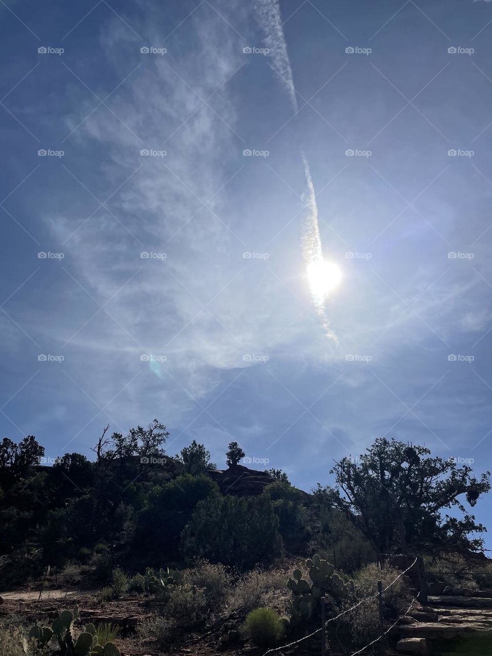 We are not alone 🎁