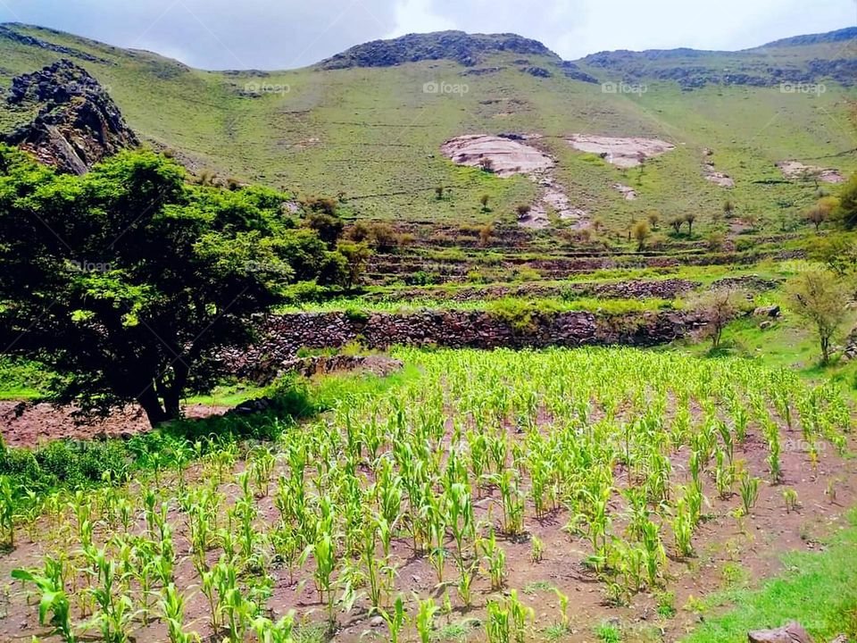 Glory be to God, the magnificent and picturesque view and the natural green trees are a view that is nothing more wonderful than it