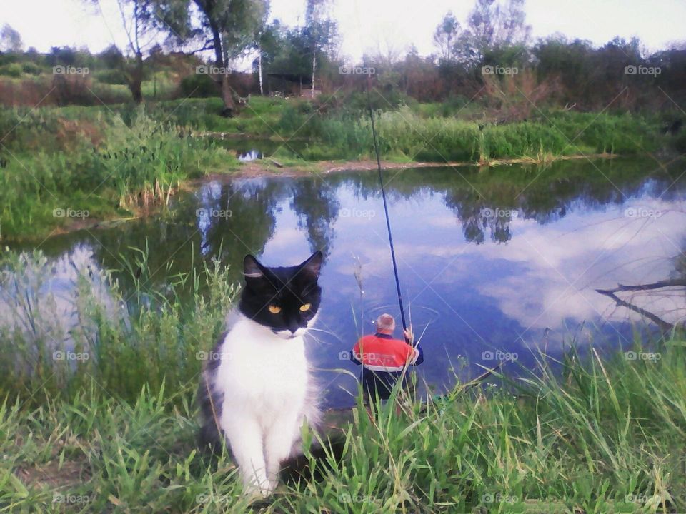 be authentic cat astrophy