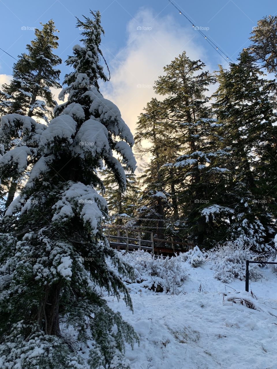 The most beautiful place ever