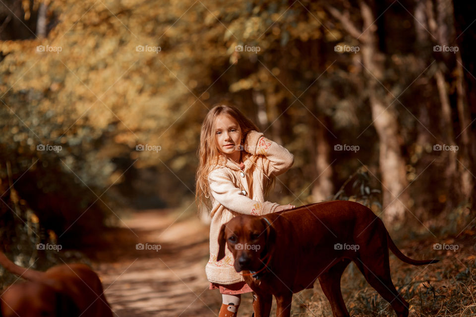 Little girl playing with dogs in an autumn park