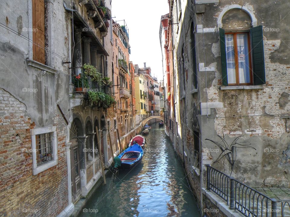 Venezia mon amour 