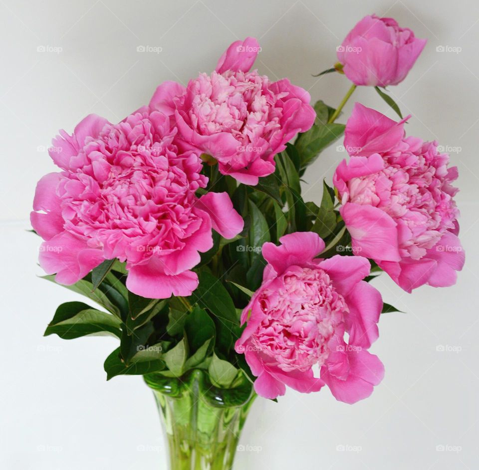 pink flowers in vase