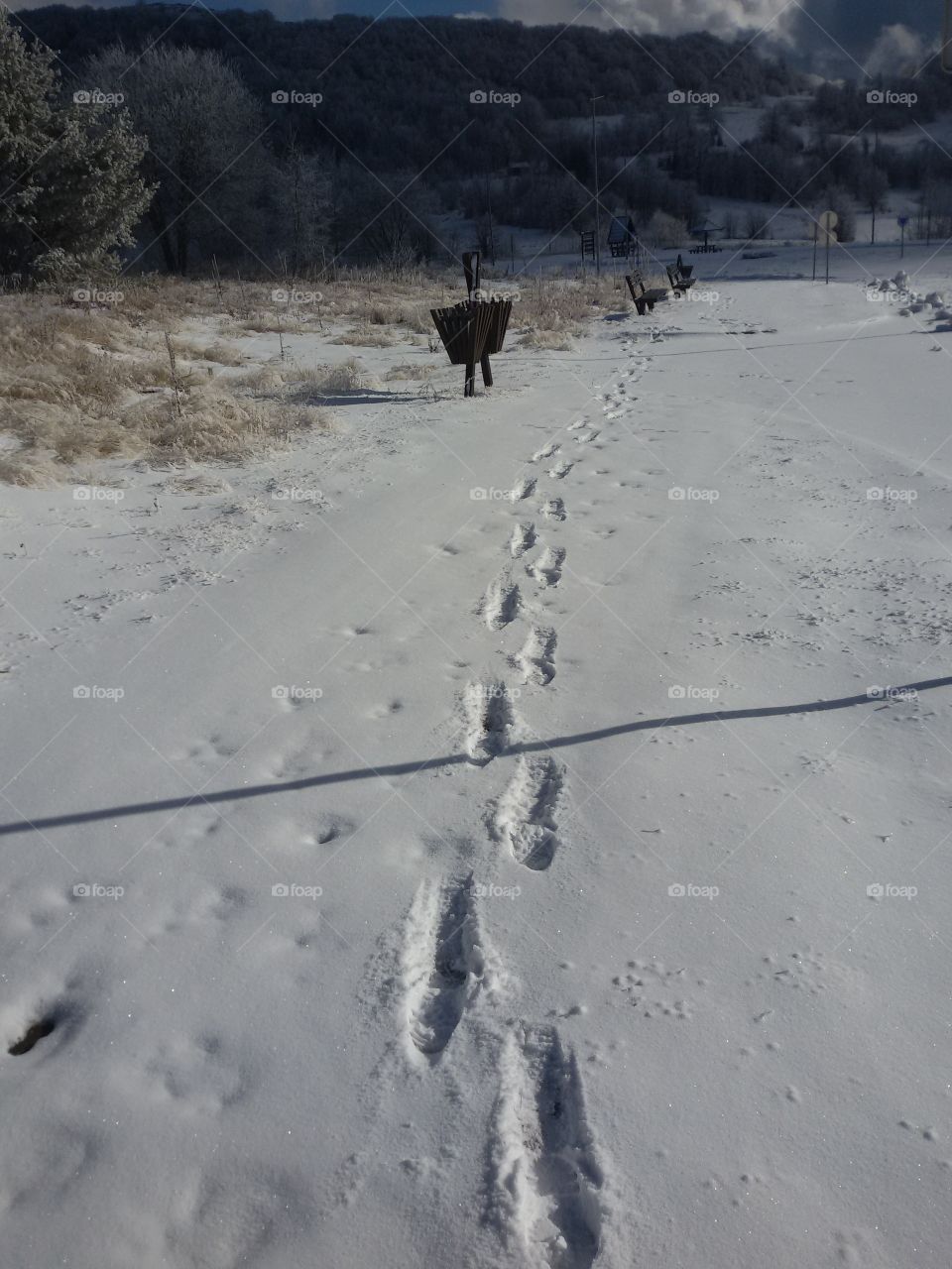 boot trails in the snow