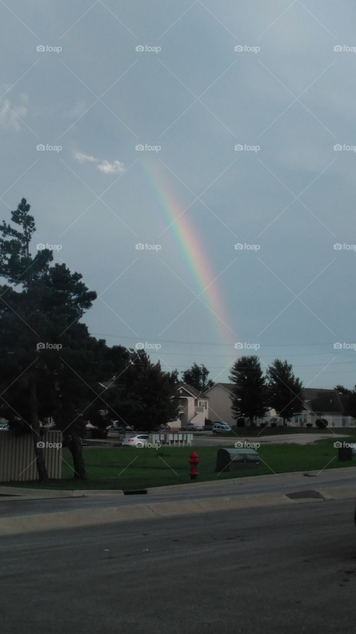 rainbow bridge