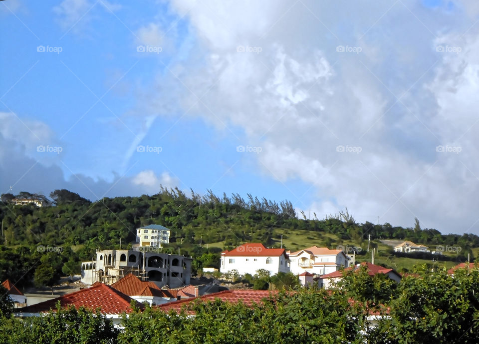 Houses on Hill